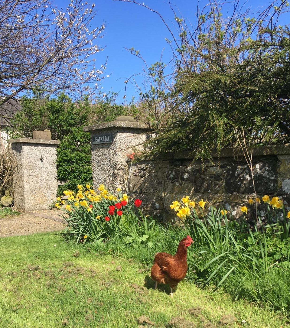 Leaholme Cottage - Fabulous Coastal Cottage For 8 Newton-by-the-Sea Zewnętrze zdjęcie